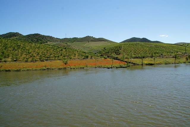 Douro%202016-002-3009.jpg