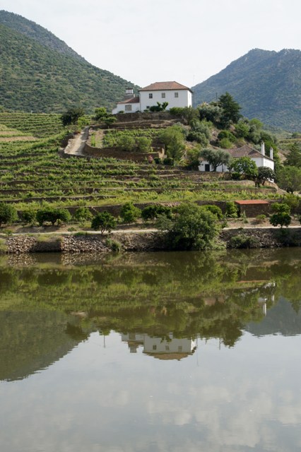 Douro%202016-004-5062.jpg