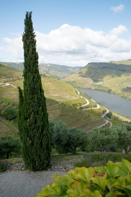 Douro%202016-005-2078.jpg